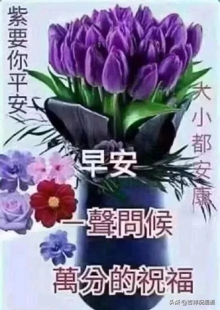 微信早晨暖心的祝福语句，句句温暖人心的早安问候语(图5)