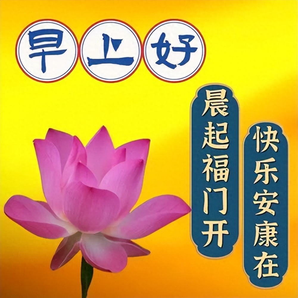 今天暖心早上好问候短句子大全，愿幸福一直在你身边，早安(图3)