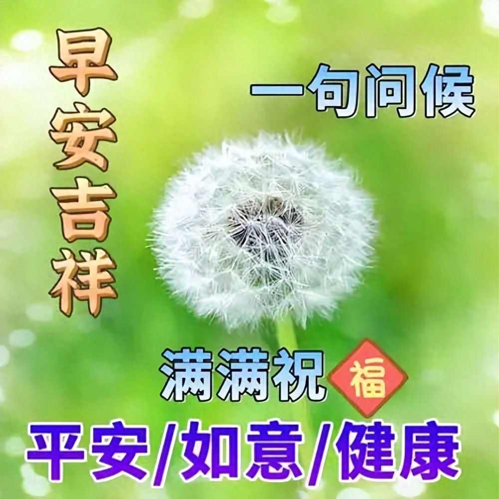 今天暖心早上好问候短句子大全，愿幸福一直在你身边，早安(图6)