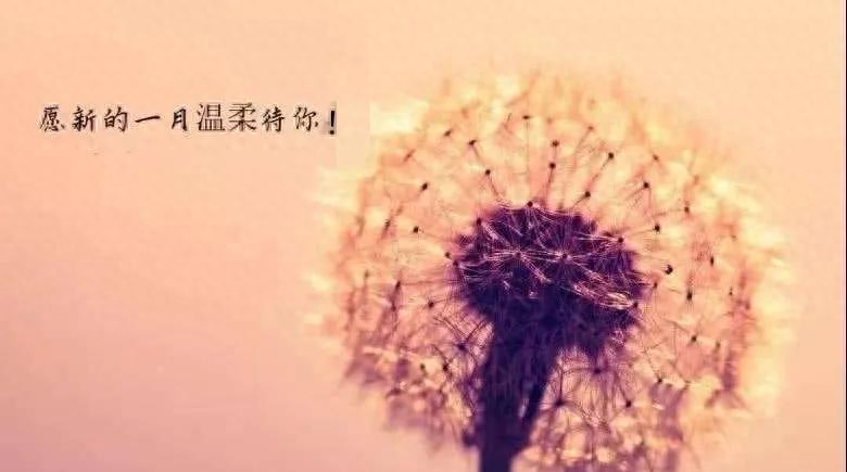 20个暖心唯美祝福极简句子文案。所有日子，都比不上明天的光辉(图5)