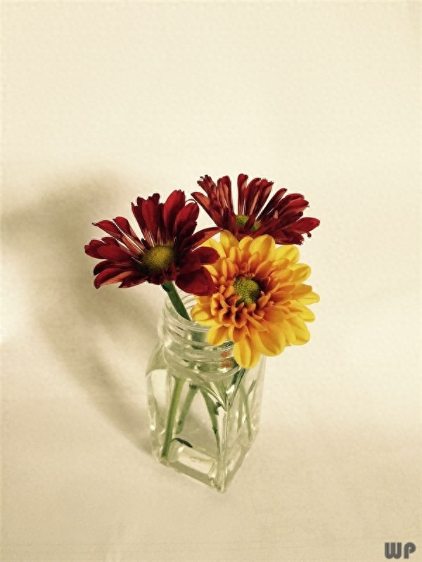 暖心祝福，2019最新早上好问候语暖心的早晨(图3)