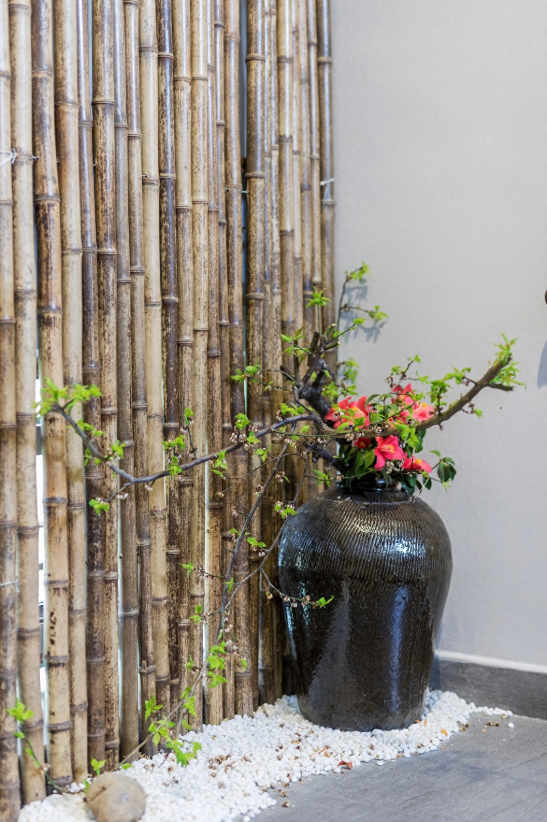 苏州城下的老茶馆，云上之茶，禅以茶韵(图16)