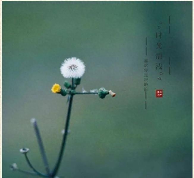 20个静享时光岁月的极简句子，岁月静好优美文案(图1)