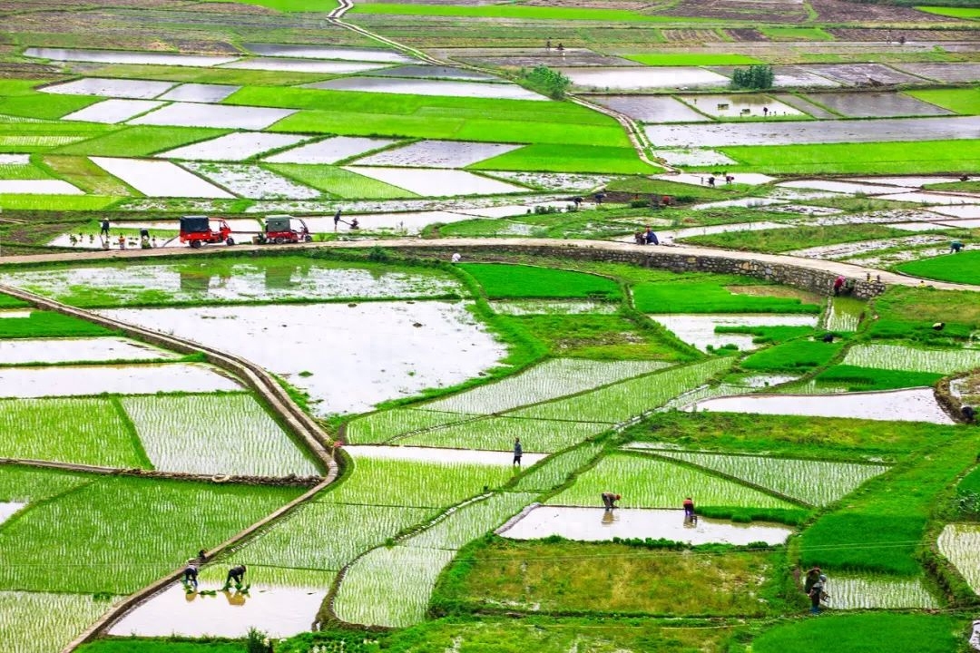 35句治愈人心的诗词，一字一句，皆是岁月静好(图6)