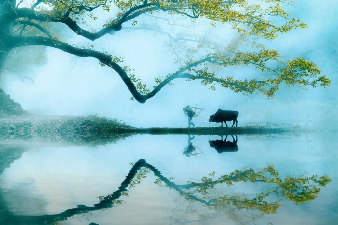 35句治愈人心的诗词，一字一句，皆是岁月静好(图7)