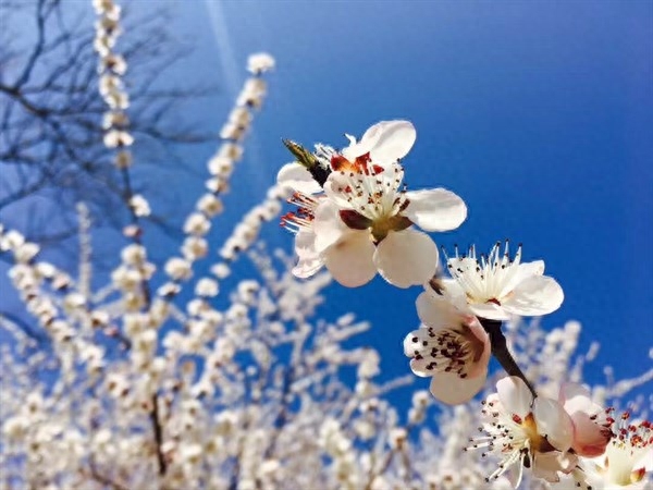 人生，看透不如看淡；顺其自然，开心过好每一天(图3)