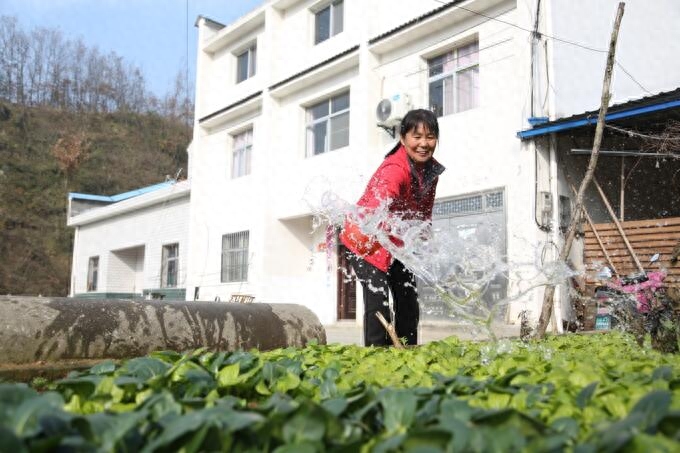 她们的幸福“平淡无味”(图1)