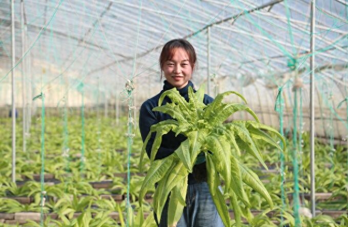 她们的幸福“平淡无味”(图6)