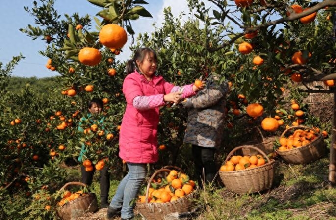 她们的幸福“平淡无味”(图9)