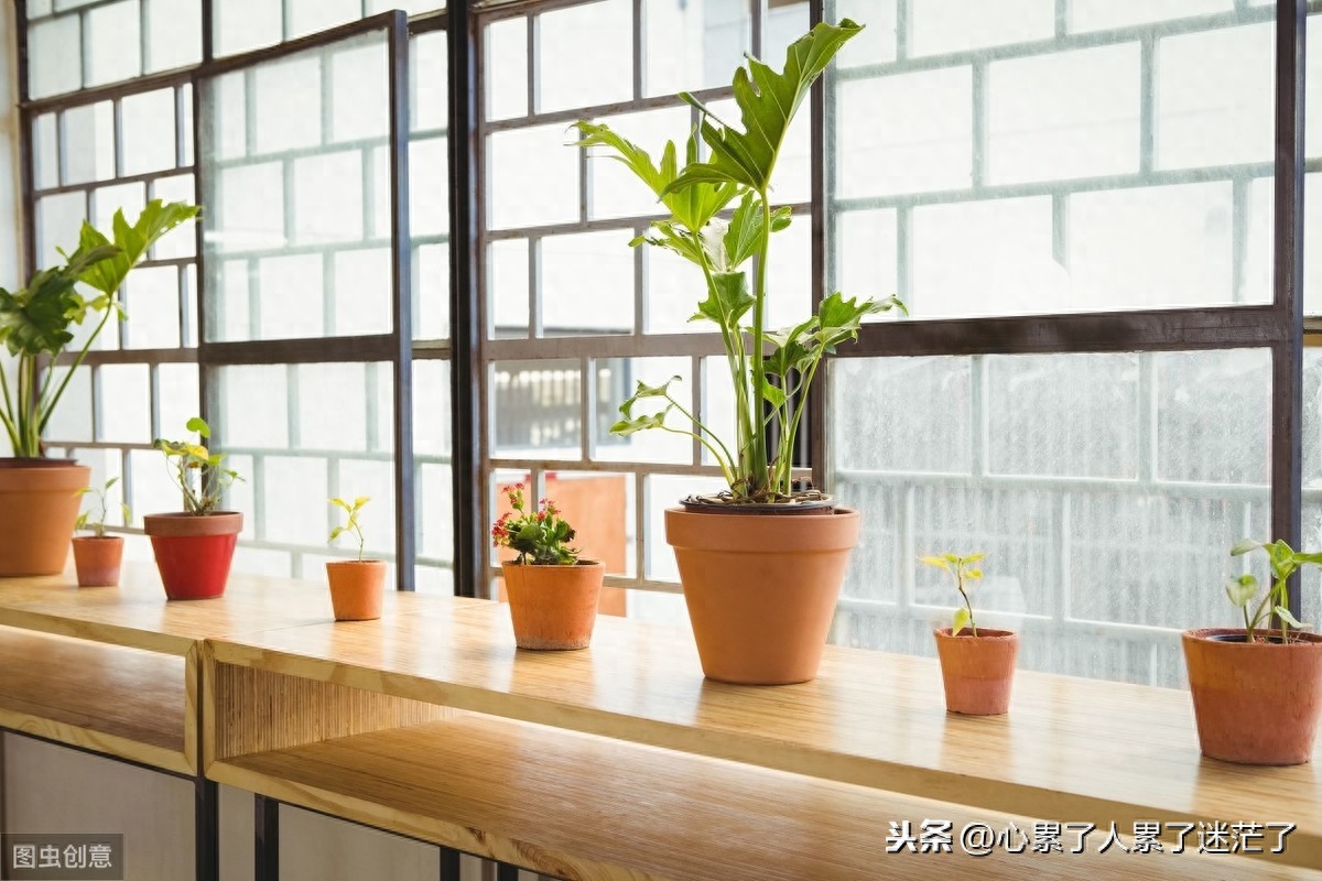 句句说到心坎的人生感悟，有时一步走错步步出错(图2)