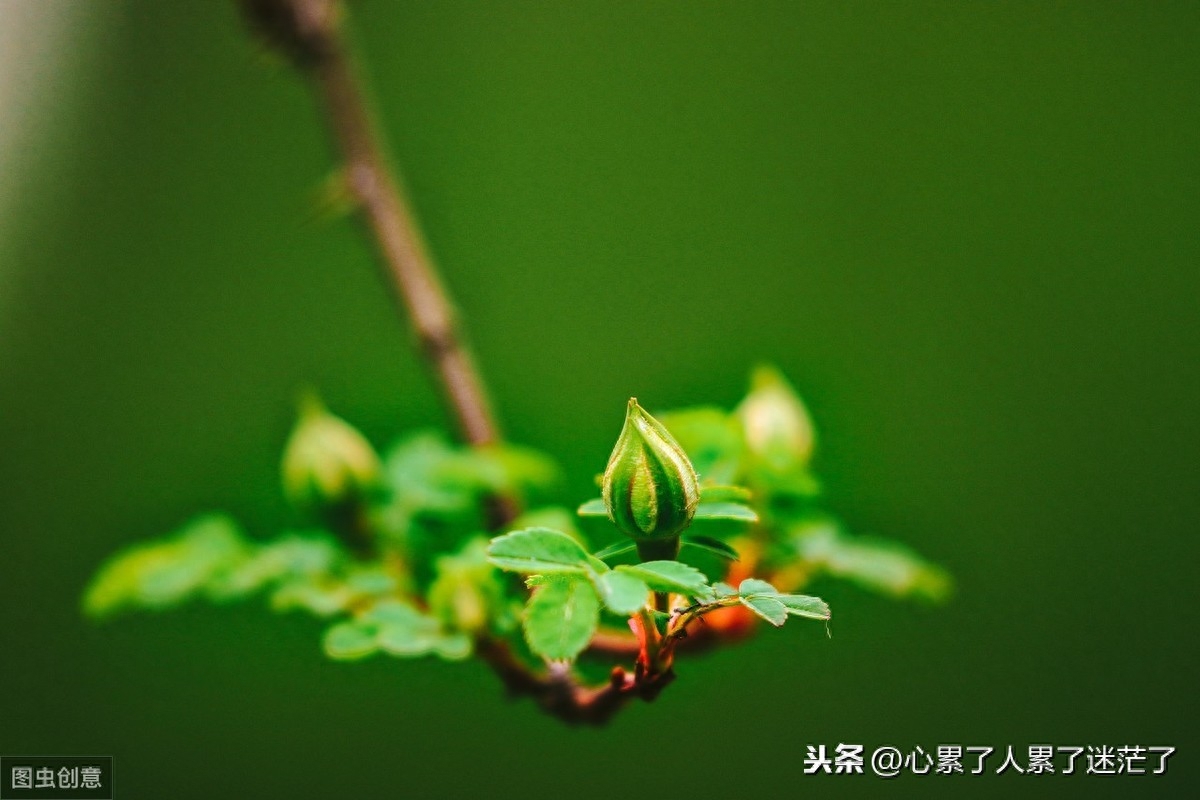 句句说到心坎的人生感悟，有时一步走错步步出错(图3)