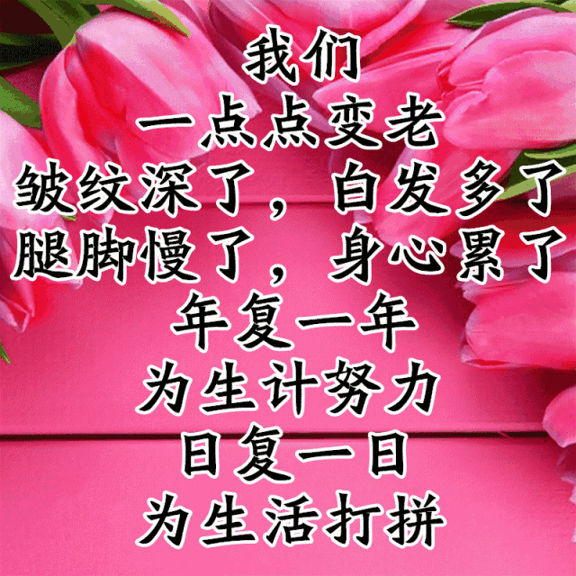 写给人生路上慢慢变老的自己，愿不负岁月，求佛保佑一生好好的(图2)