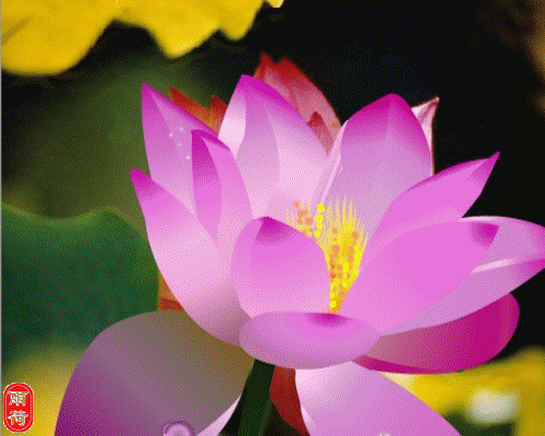 写给人生路上慢慢变老的自己，愿不负岁月，求佛保佑一生好好的(图3)