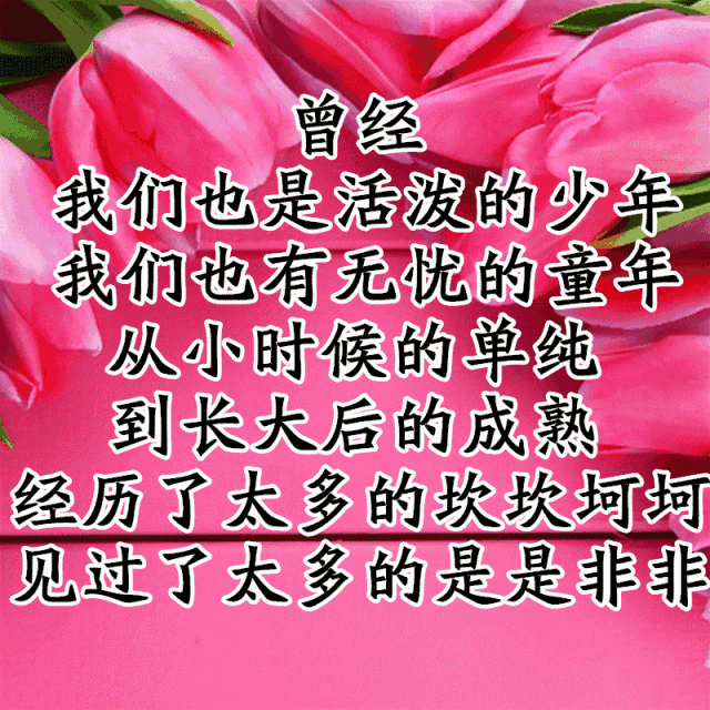 写给人生路上慢慢变老的自己，愿不负岁月，求佛保佑一生好好的(图4)