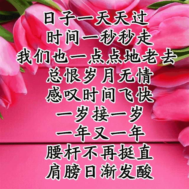 写给人生路上慢慢变老的自己，愿不负岁月，求佛保佑一生好好的(图6)