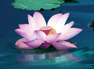 写给人生路上慢慢变老的自己，愿不负岁月，求佛保佑一生好好的(图7)