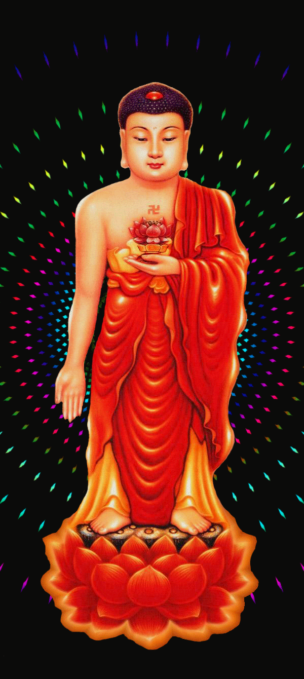 写给人生路上慢慢变老的自己，愿不负岁月，求佛保佑一生好好的(图13)