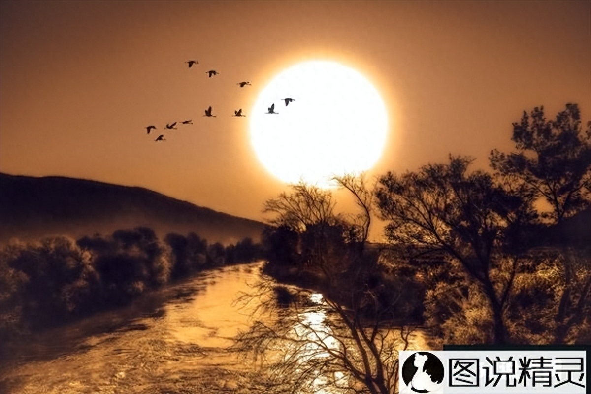 最新伤心欲绝的说说句子-图说精灵(图3)