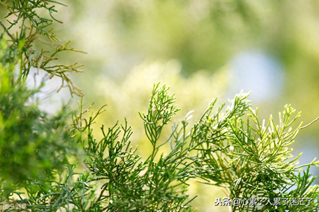 人生感悟短语，只要你愿意走，哪里都会有路(图2)