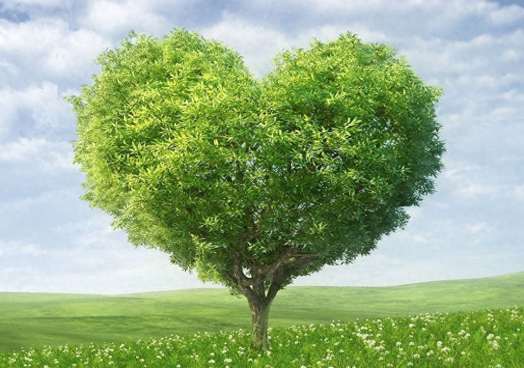 路的尽头，仍然是路，只要你愿意走（好文好句）(图1)