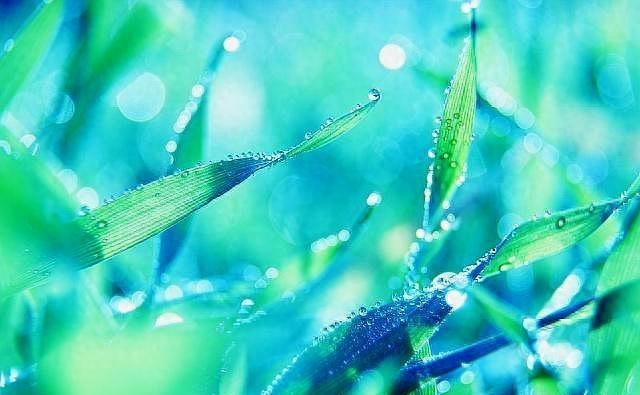 路的尽头，仍然是路，只要你愿意走（好文好句）(图5)