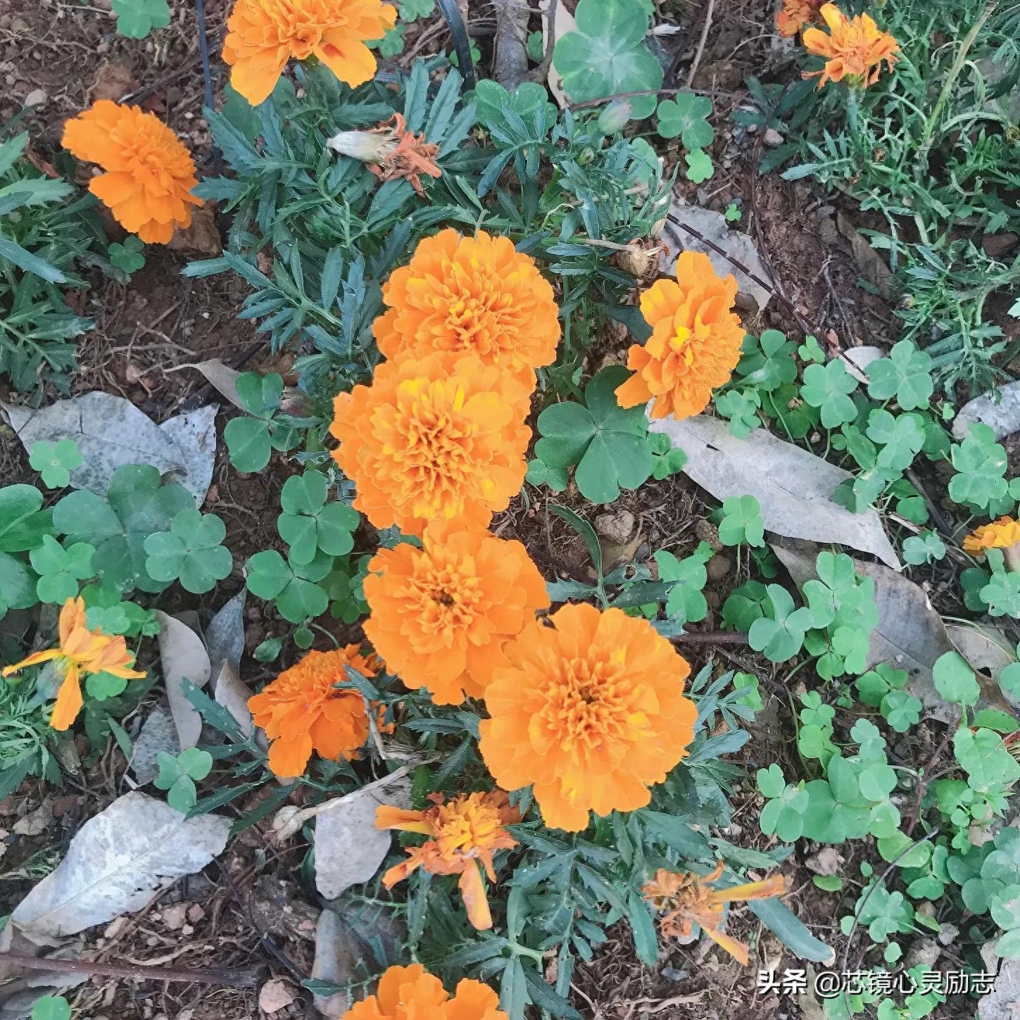 别哭，前面一定有路，仿佛幸福在不远处(图1)