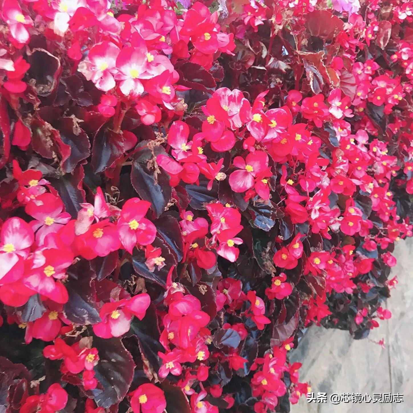 别哭，前面一定有路，仿佛幸福在不远处(图2)