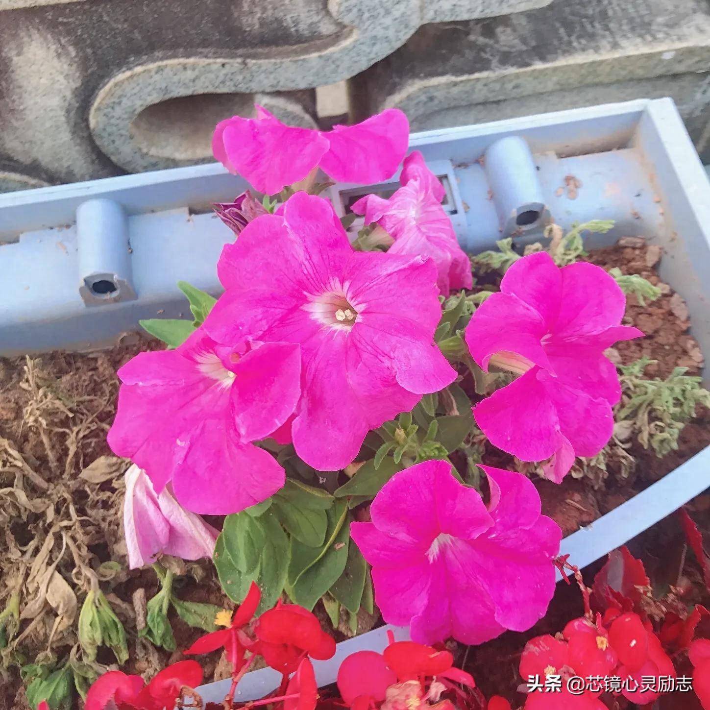 别哭，前面一定有路，仿佛幸福在不远处(图3)