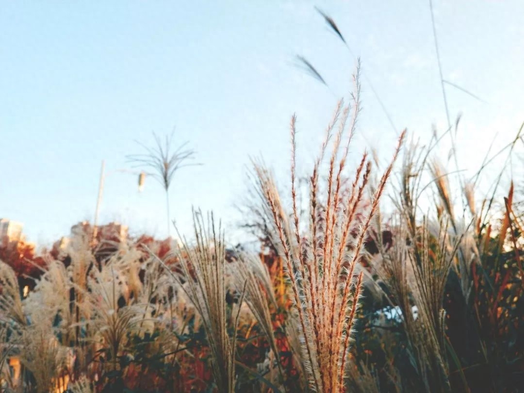 8首诀别诗词，首首经典，一不小心就成为千古名句(图5)