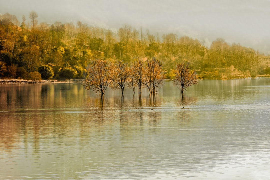 8首诀别诗词，首首经典，一不小心就成为千古名句(图9)