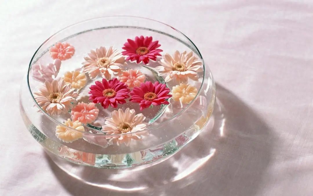 离别的伤痛，感动人心的25句离别短句(图1)