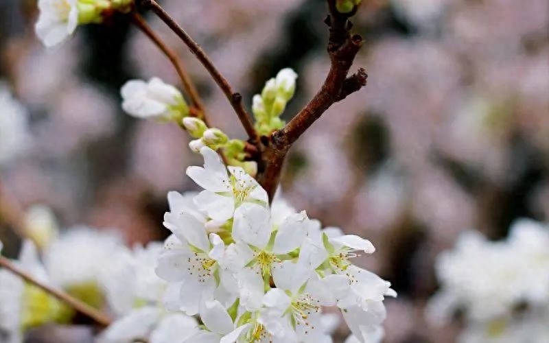 离别的伤痛，感动人心的25句离别短句(图2)