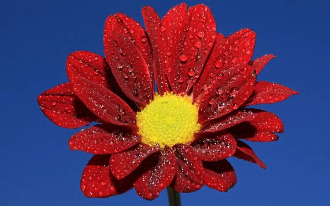 离别的伤痛，感动人心的25句离别短句(图3)