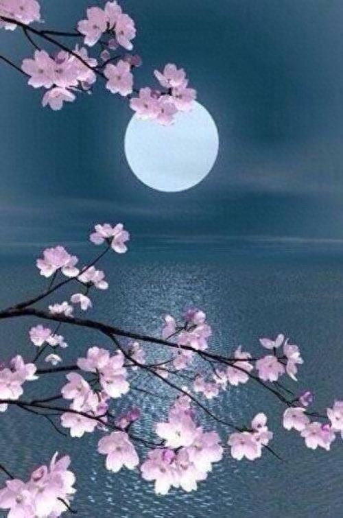 关于离别的30句诗词，第一句就沦陷，使人心碎，又令人心醉(图2)