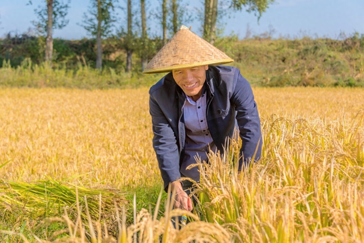 成熟的处事之道：少言，多思，冷静，事缓(图2)