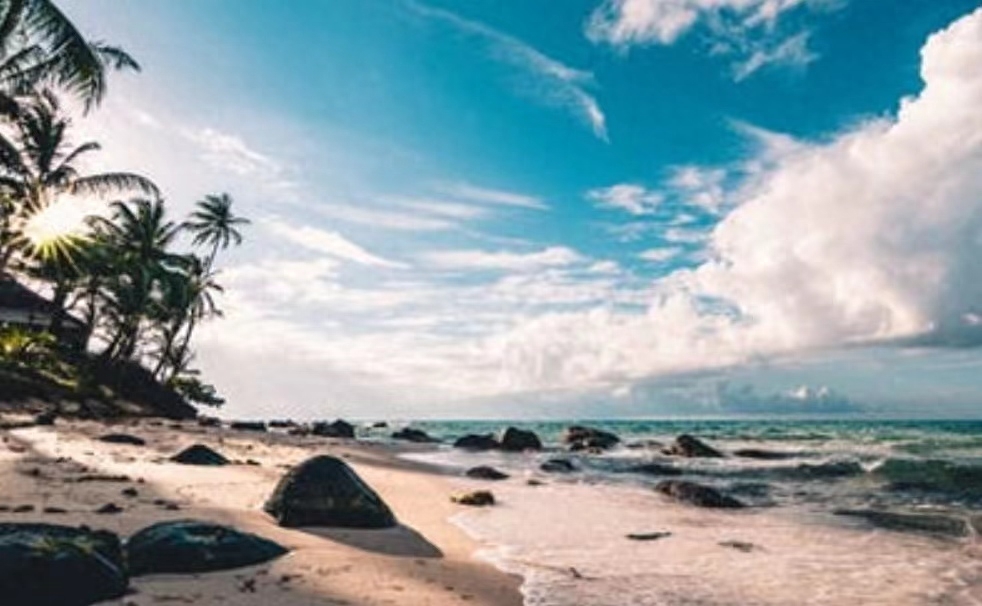 真正厉害的人：做人低调，待人宽容，遇事冷静(图3)