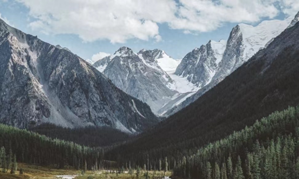 真正厉害的人：做人低调，待人宽容，遇事冷静(图4)