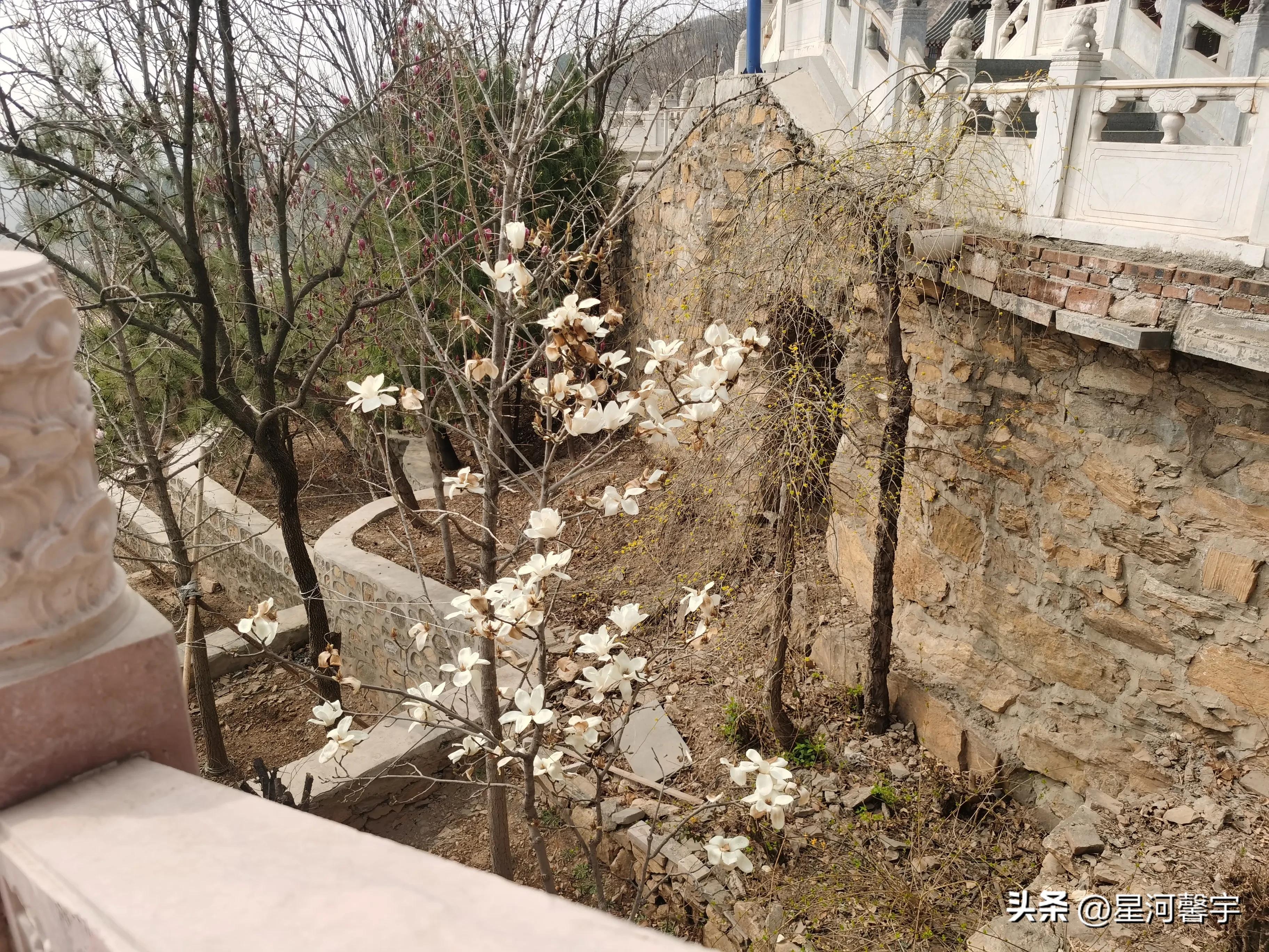 人间清醒的高级文案之春暖花开(图3)