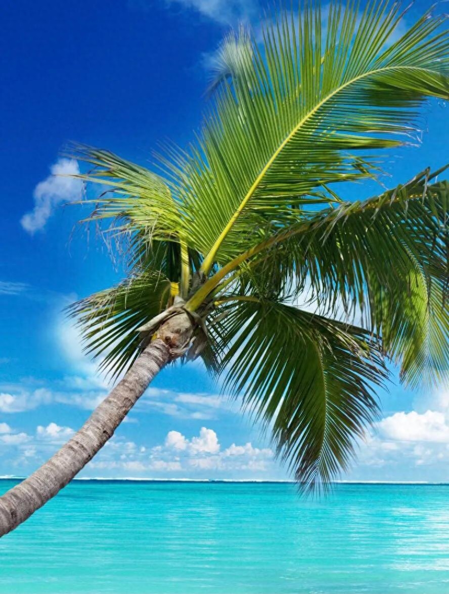 治愈走心风景旅游好心情文案(图6)