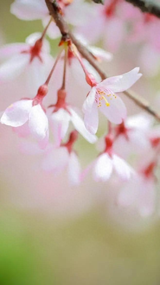 漫漫人生路，流年似锦，光阴不负(图4)