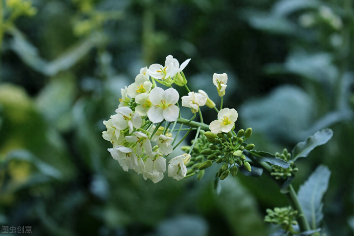 流年未央，经年未忘，时光仍在，而我瘦减了年华(图3)
