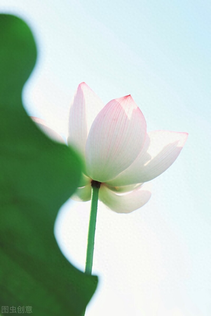 流年未央，经年未忘，时光仍在，而我瘦减了年华(图4)