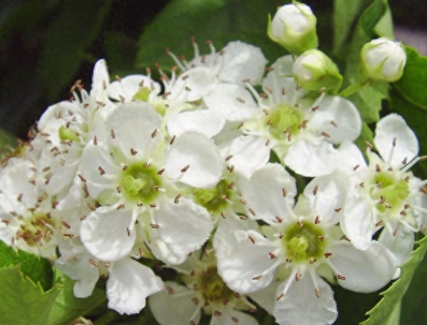 励志，正能量的句子，生活不能等待别人来安排，要自己去争取和奋(图4)