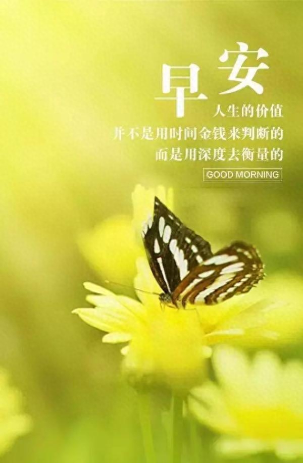 早安正能量语句：只有学会独自成长，才能面对朗朗乾坤(图7)