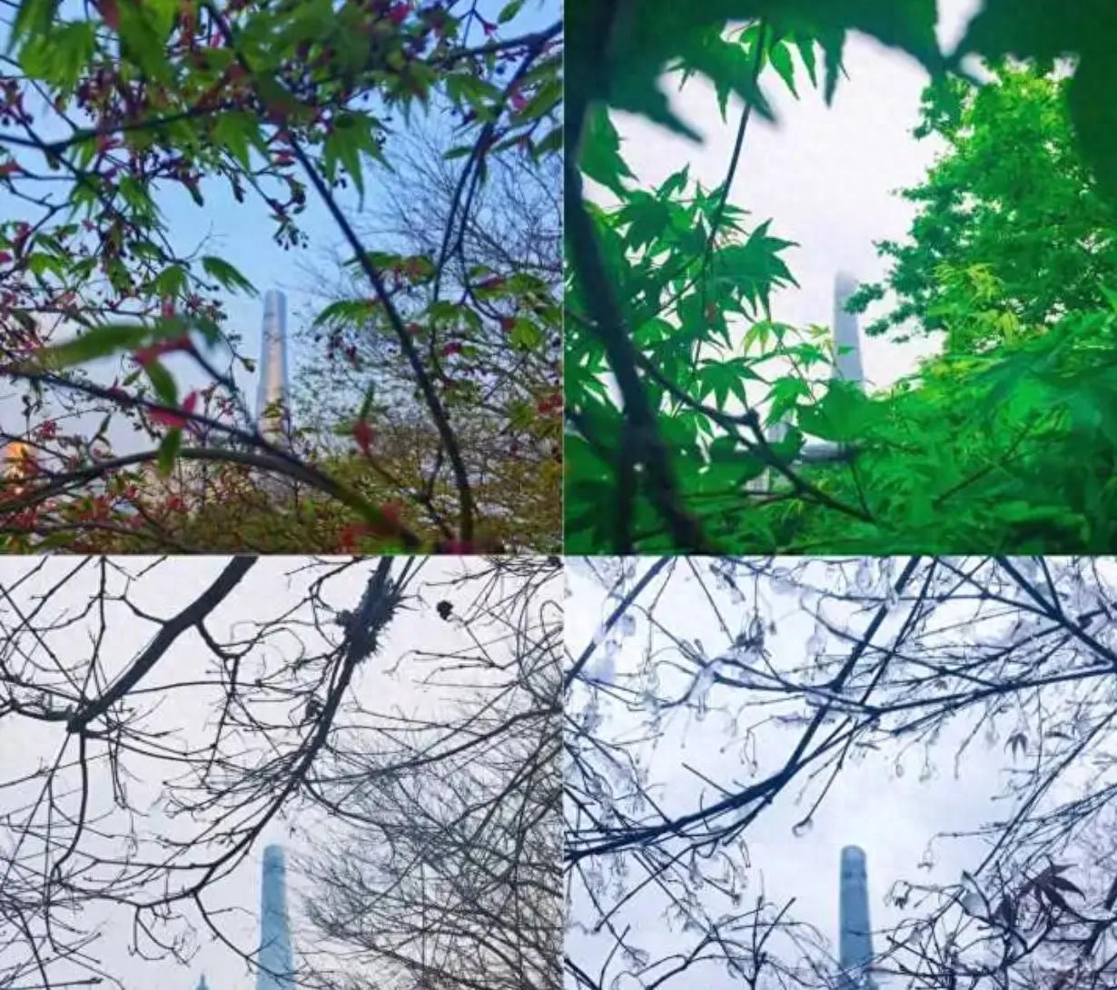 2022关于四季交替的优美句子(图2)