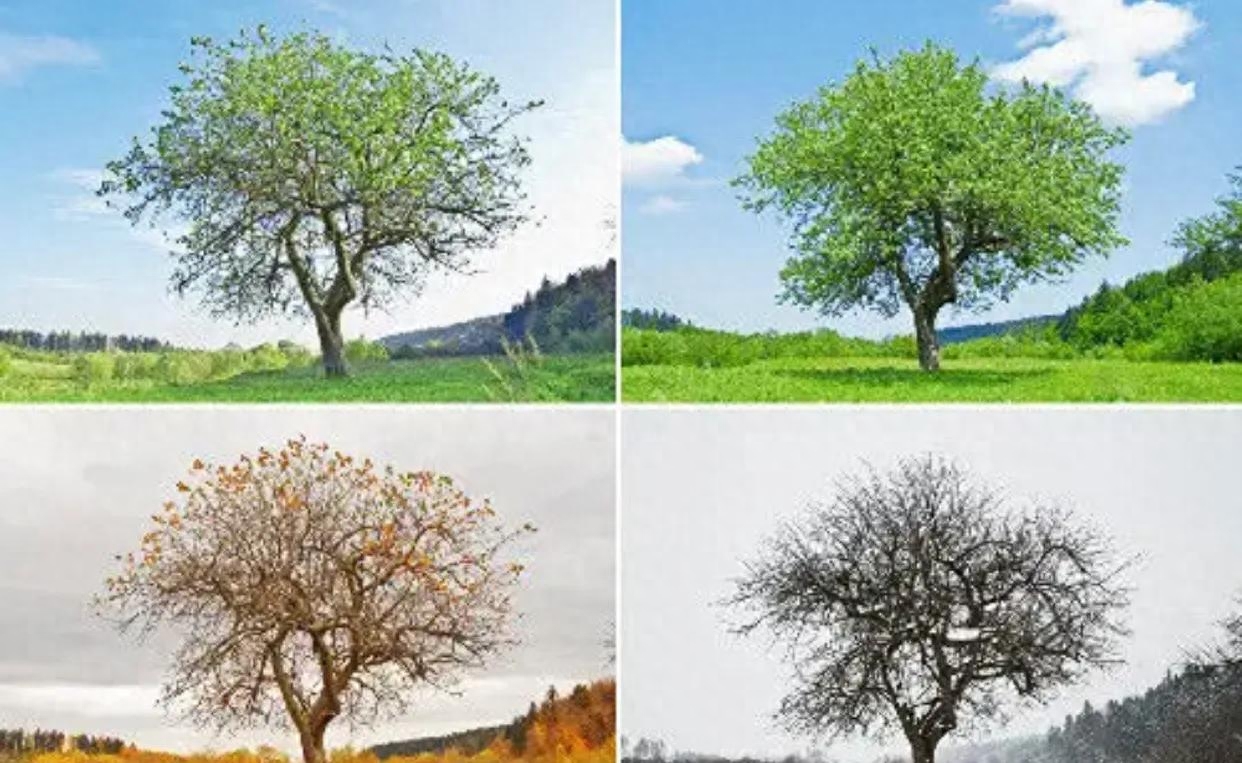 2022关于四季交替的优美句子(图3)