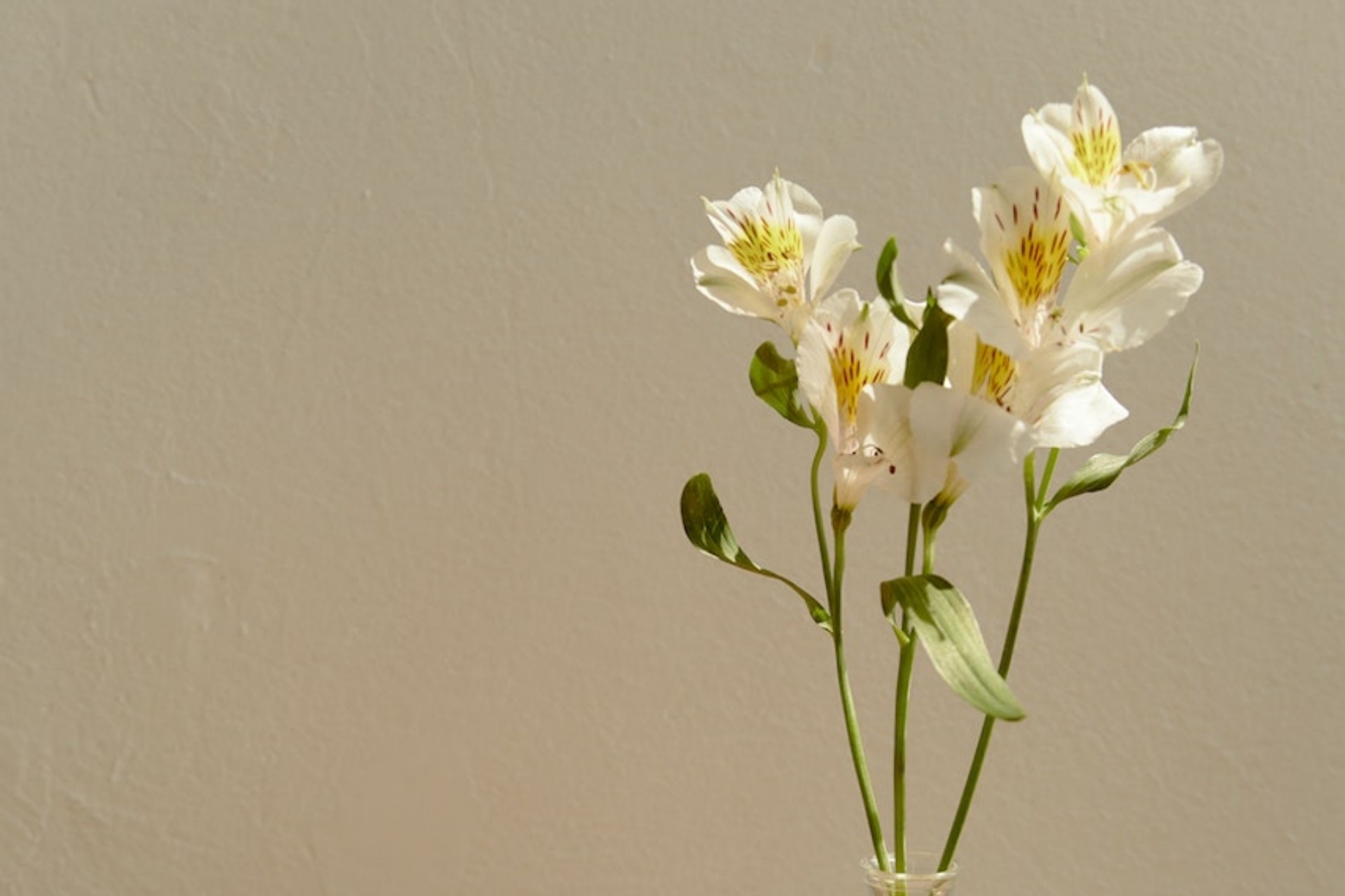 有一种默契，叫两心相知，无言也暖(图2)