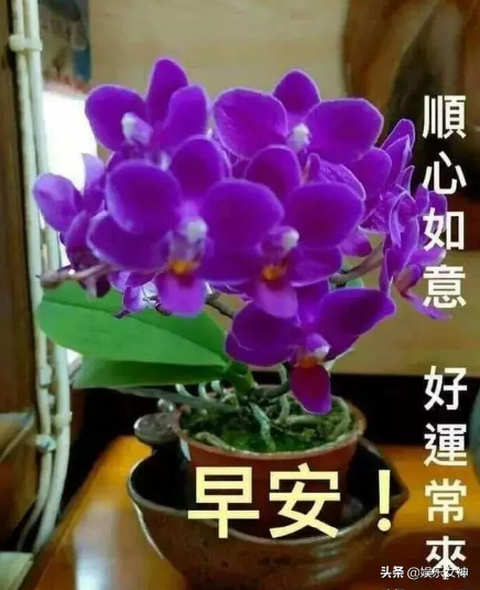 心若相知，无需多言也能默契相通；情若相融，无需承诺也能长久相候(图2)