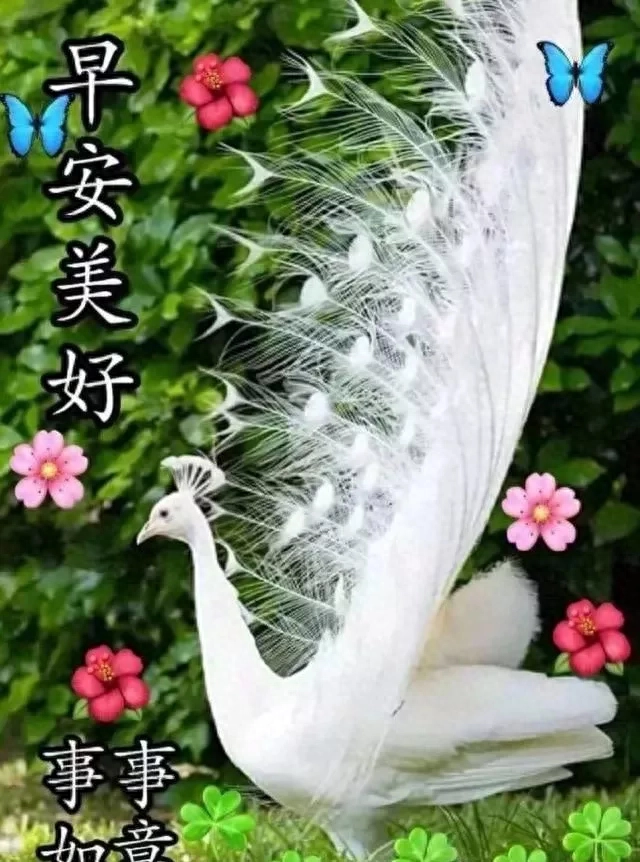 心若相知，无需多言也能默契相通；情若相融，无需承诺也能长久相候(图3)