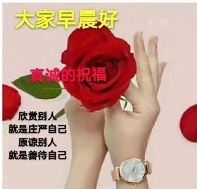 心若相知，无需多言也能默契相通；情若相融，无需承诺也能长久相候(图4)